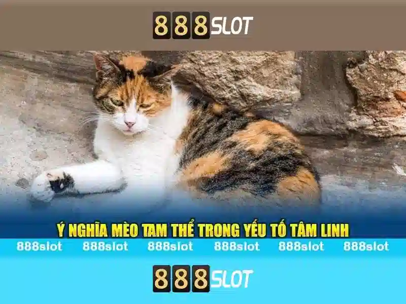 Tính năng nổi bật